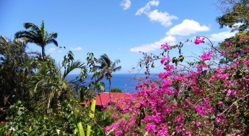 Les Hauts De Bornave Villa Deshaies Exterior foto